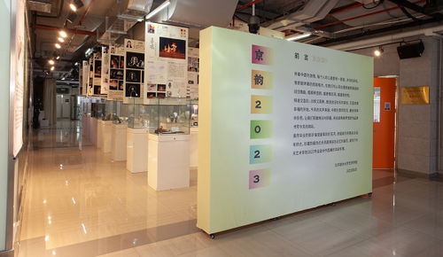 縱覽藝術學院2023屆畢業設計作品展 深耕傳統文化 盡顯京韻風華