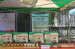 峰峰 創客集市助力磁州窯文化藝術節