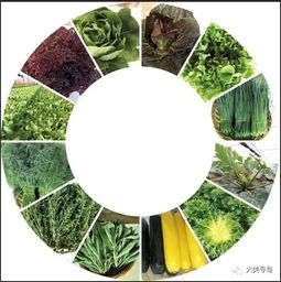 2019 創(chuàng)意云南 文化藝術(shù)產(chǎn)業(yè)博覽會尋甸縣展區(qū)等你來