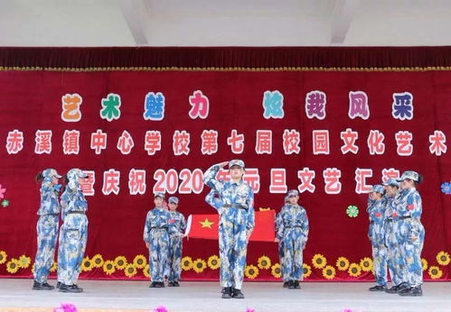 藝術魅力,炫我風采 我校第七屆校園文化藝術節暨慶祝2020年元旦文藝匯演圓滿落幕