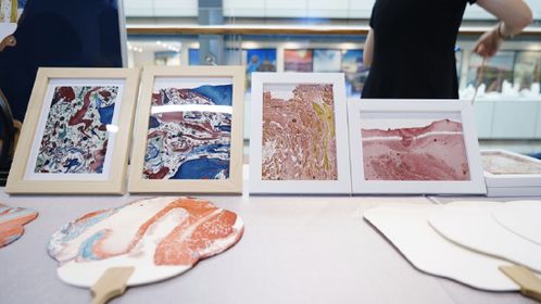 拓視野 展自信 重慶文藝職院師生參加 渝見澳洲 旅游目的地圖片展