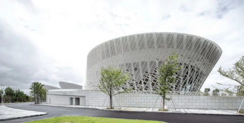 公共文化建筑設計 福州海峽文化藝術中心 案例