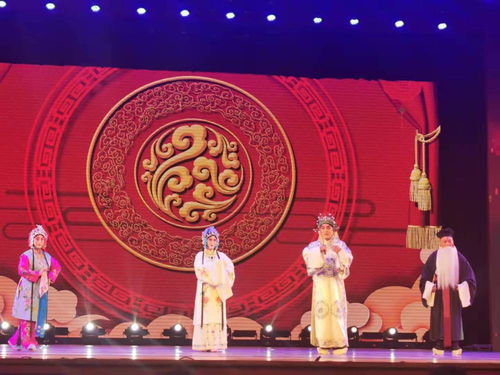 公共 黑龍江省第三屆社區(qū)文化藝術(shù)節(jié)文藝匯演舉辦