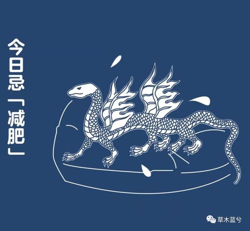 陳馨 做中國(guó)古代文化藝術(shù)的收藏傳承者,讓 山海經(jīng) 走進(jìn)校園 走進(jìn)現(xiàn)代生活